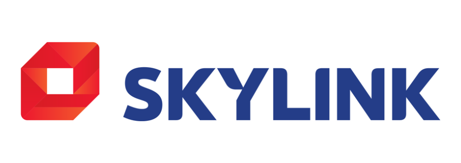 Skylink Skylink