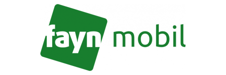 FAYNmobil FAYNmobil