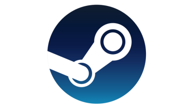 Steam