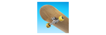 Flip Skater Flip Skater